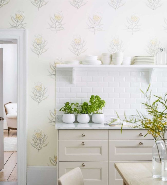 Protea Flower Room Wallpaper - White