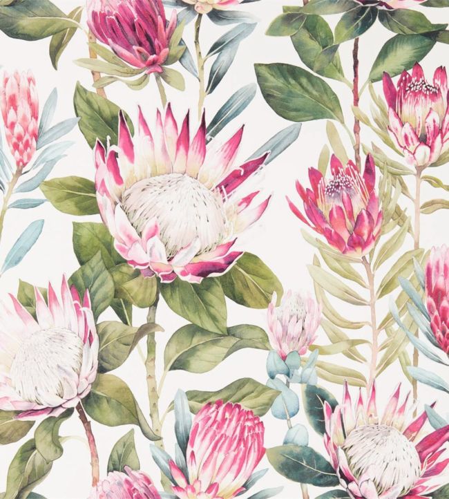 King Protea Wallpaper - Multicolor
