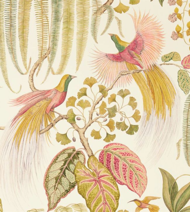 Bird Of Paradise Wallpaper - Green