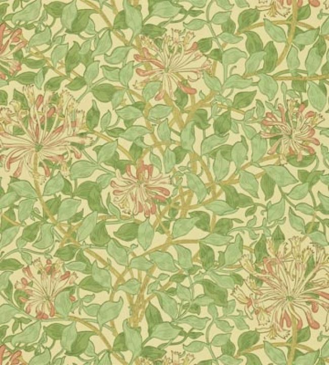 Honeysuckle Wallpaper - Green