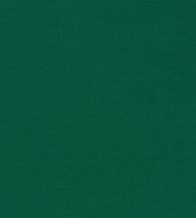 Ruskin Fabric - Green