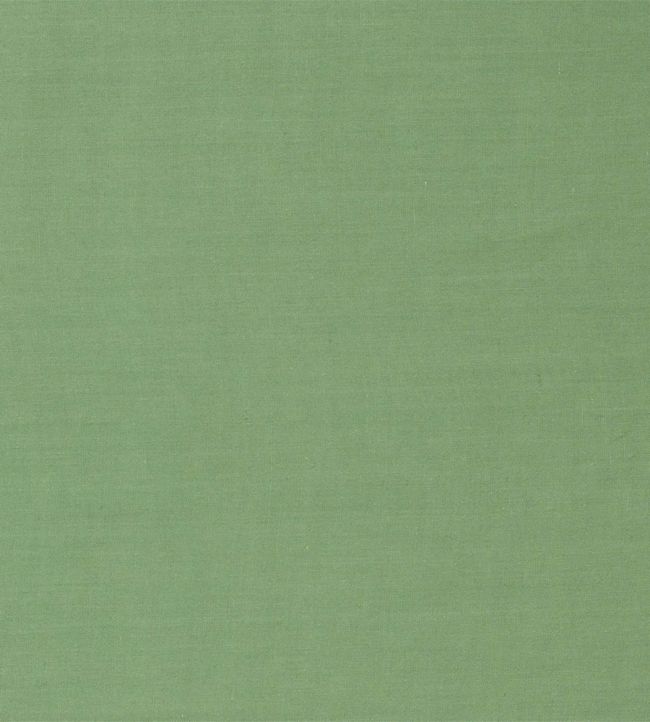 Ruskin Fabric - Green