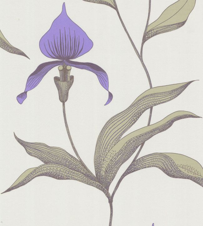 Orchid Wallpaper - Purple  - Cole & Son