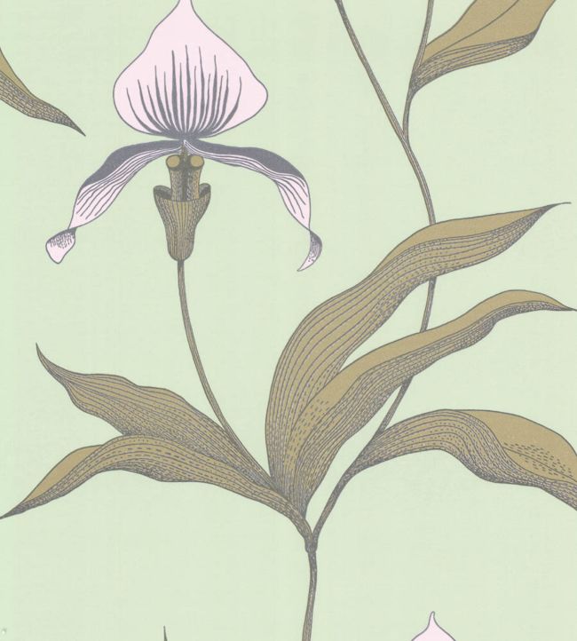 Orchid Wallpaper - Green  - Cole & Son