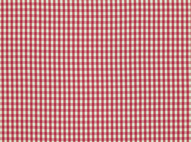 Elmer Red Tulip Fabric - Romo - Kemble