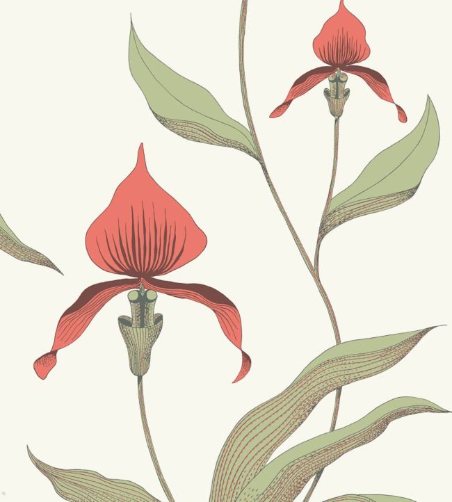 Orchid Wallpaper - Green  - Cole & Son