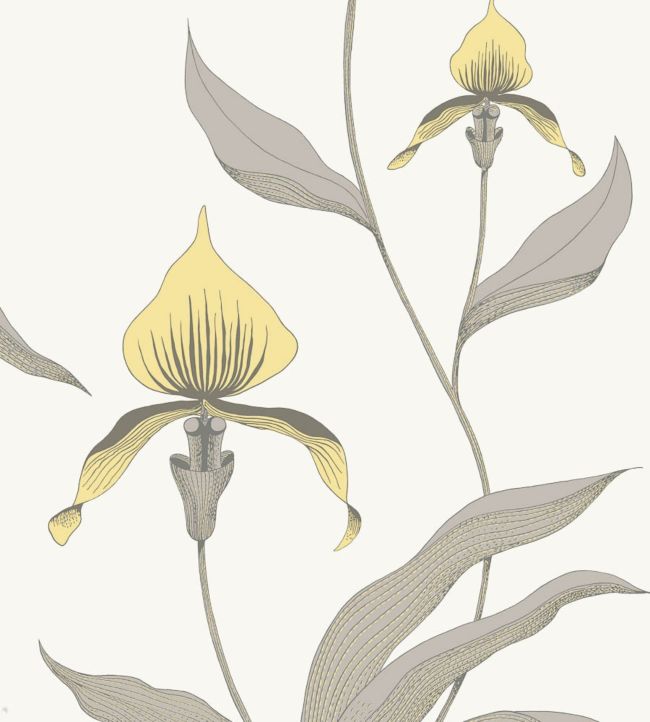 Orchid Wallpaper - White - Cole & Son