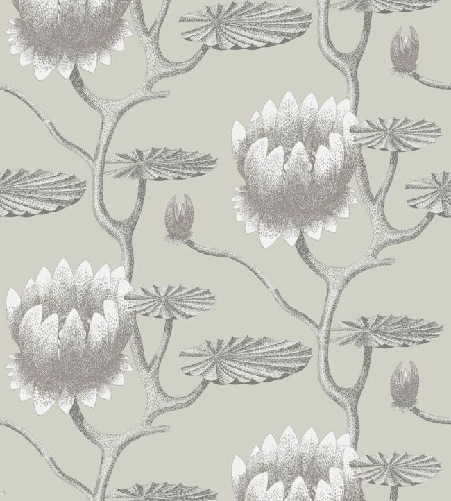 Summer Lily Wallpaper - Gray - Cole & Son