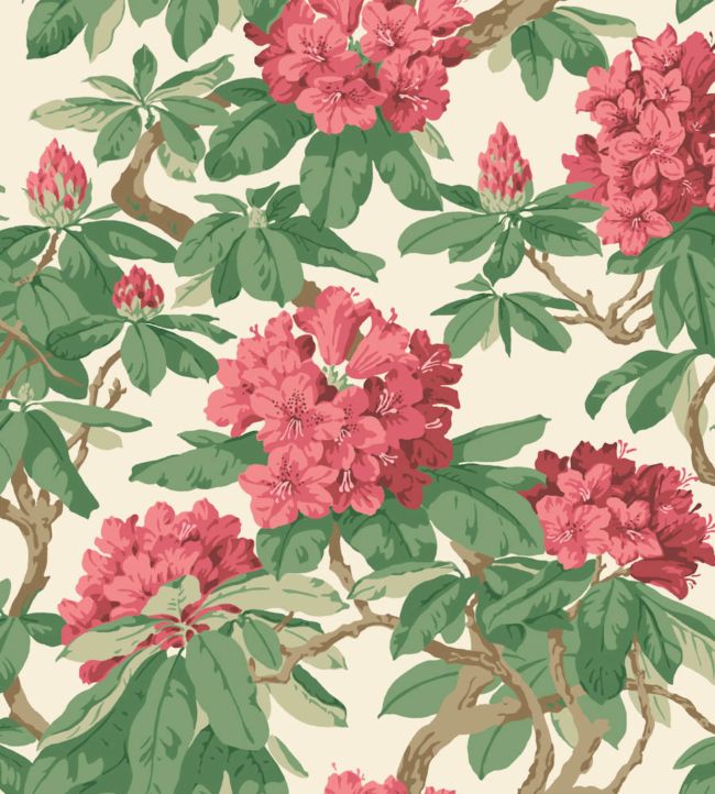 Bourlie Wallpaper - Green - Cole & Son