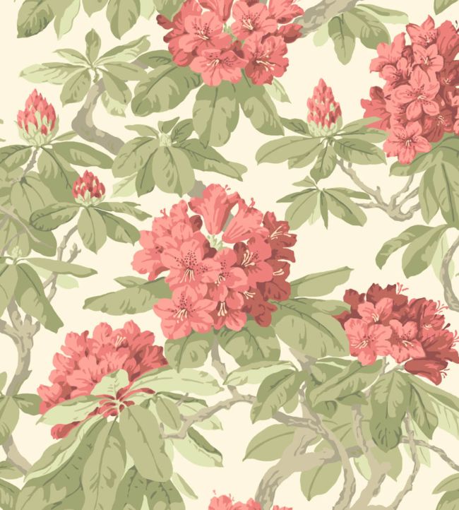 Bourlie Wallpaper - Multicolor - Cole & Son