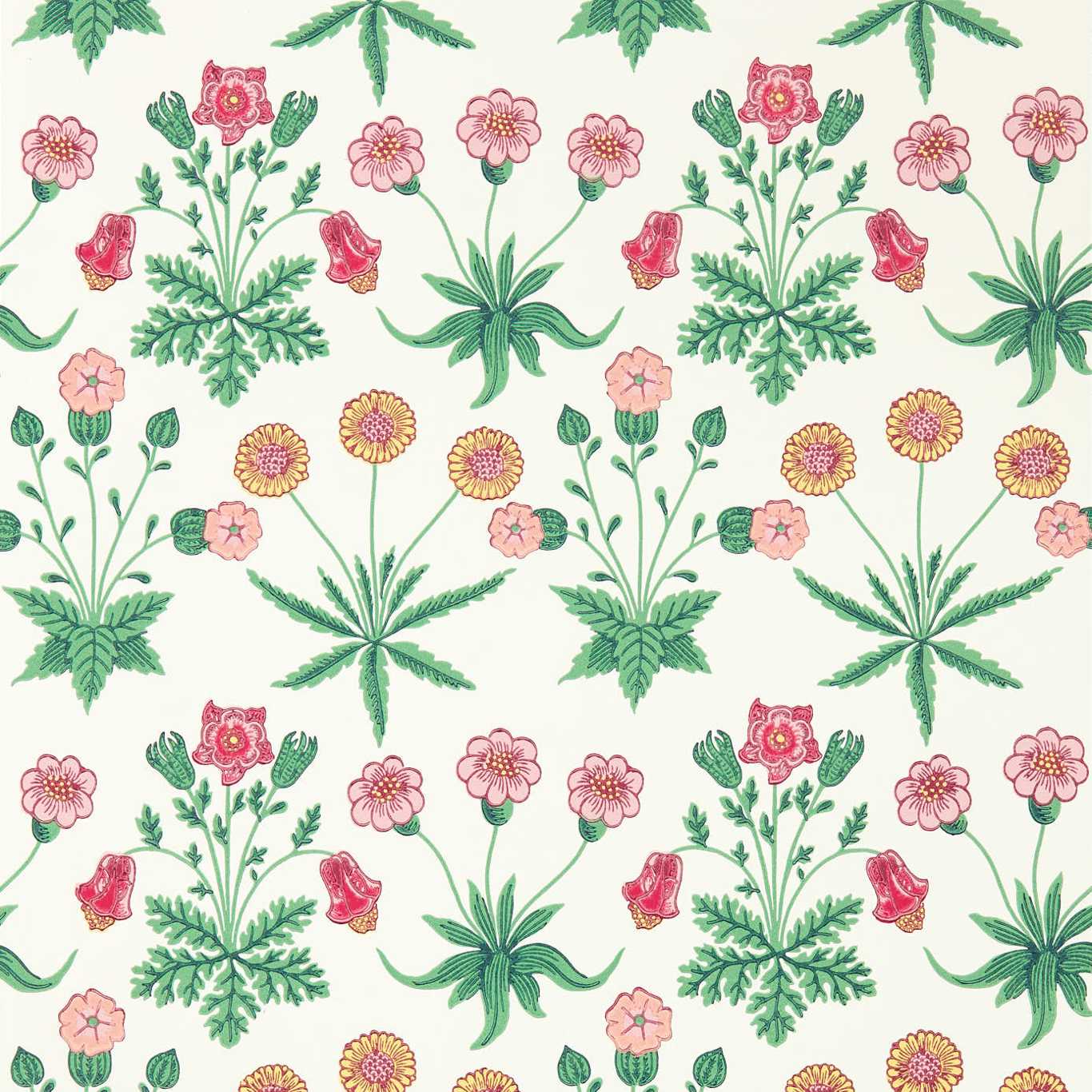 Daisy Wallpaper - Pink