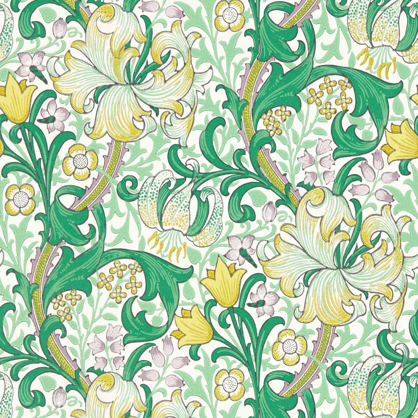 Golden Lily Wallpaper - Green