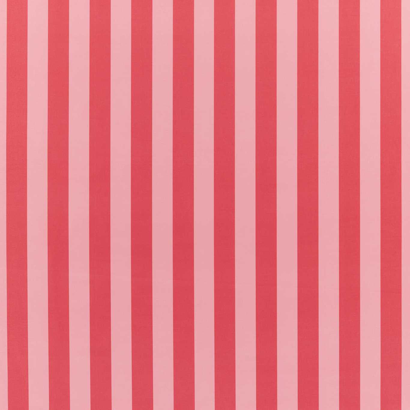 Signature Stripe Fabric - Pink