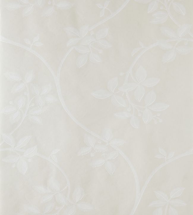Ringwold Wallpaper - Cream 