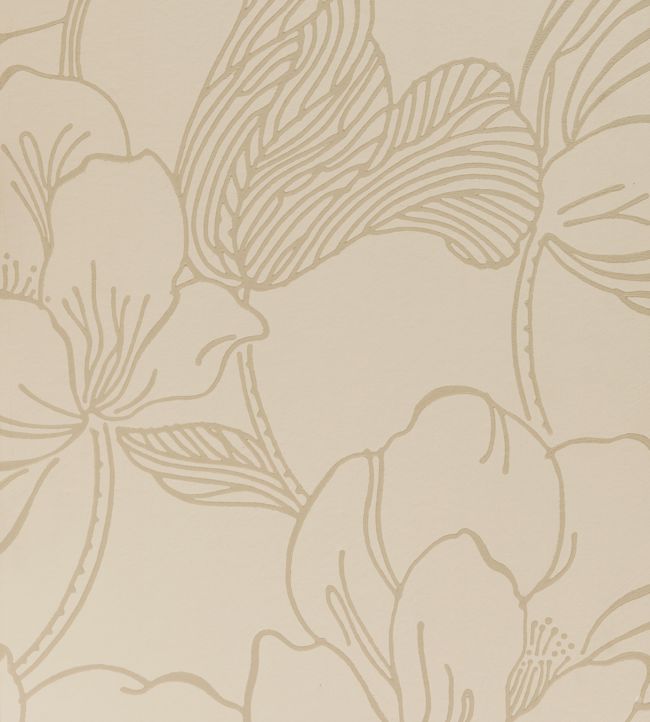 Helleborus Wallpaper - Cream
