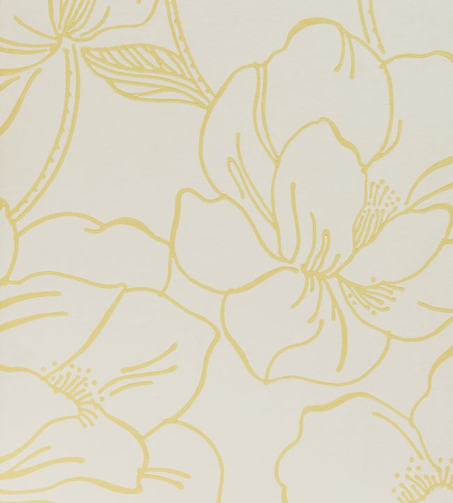 Helleborus Wallpaper - Yellow