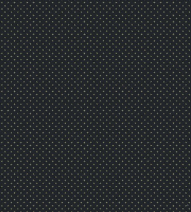 Classical Star Paper Wallpaper - Black