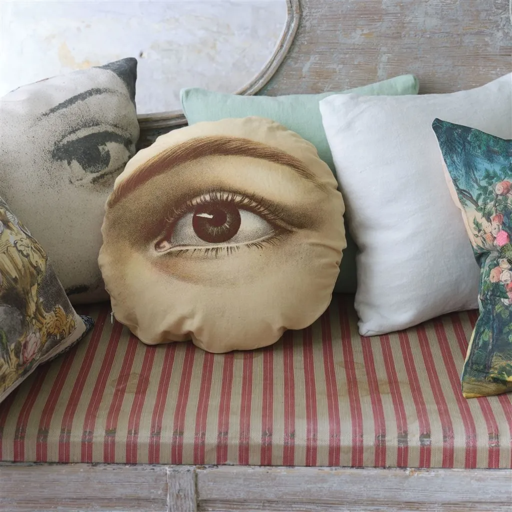 Eye Sepia Cushion - Designers Guild