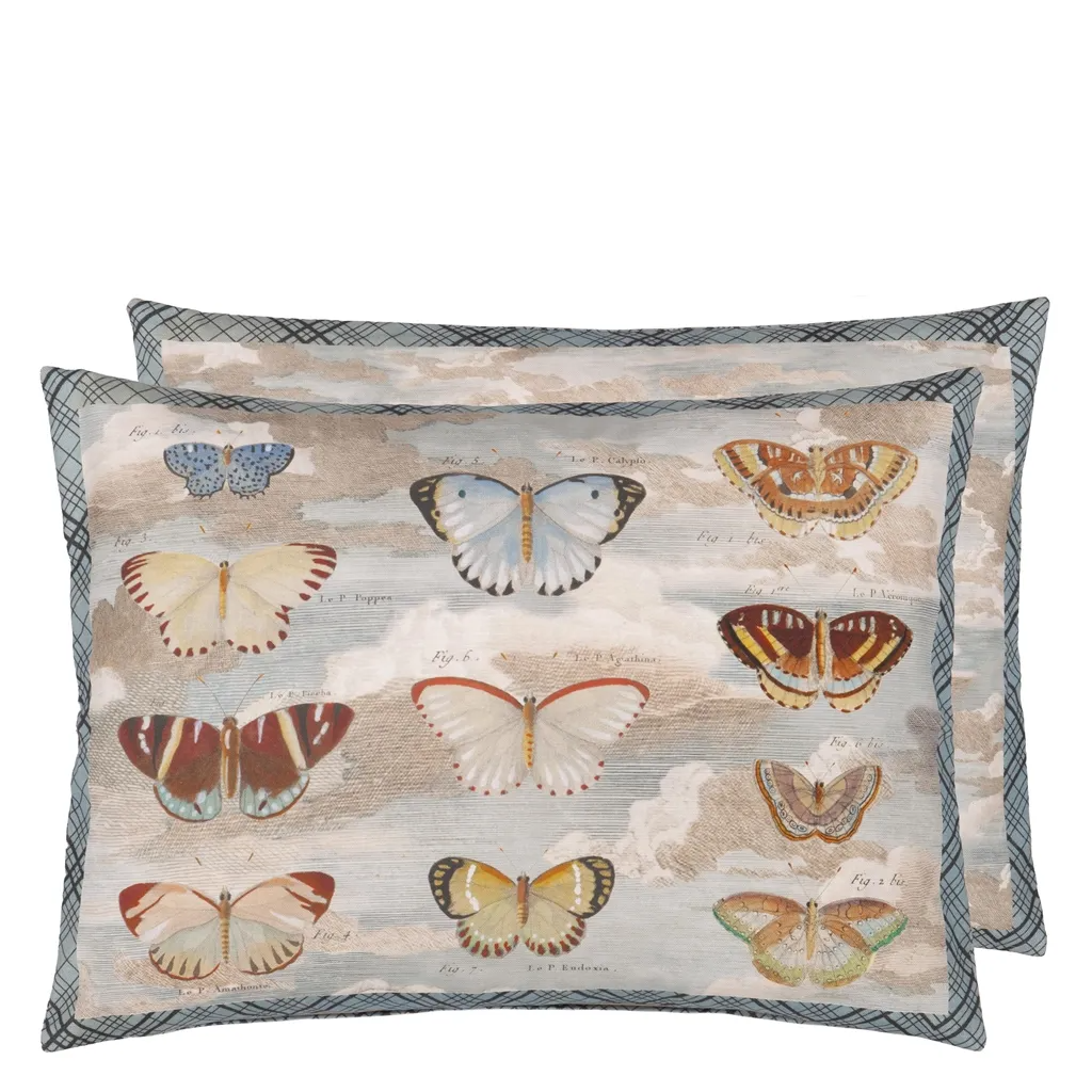 Butterfly Studies Parchment Cushion - Designers Guild