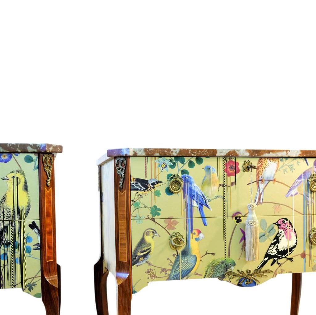 (707-2) Pair of Classic Gustavian Louis XV Style Chests with Christian Lacroix Design