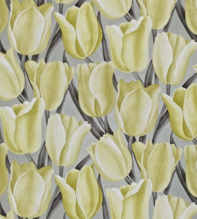 Early Tulips Wallpaper - Yellow