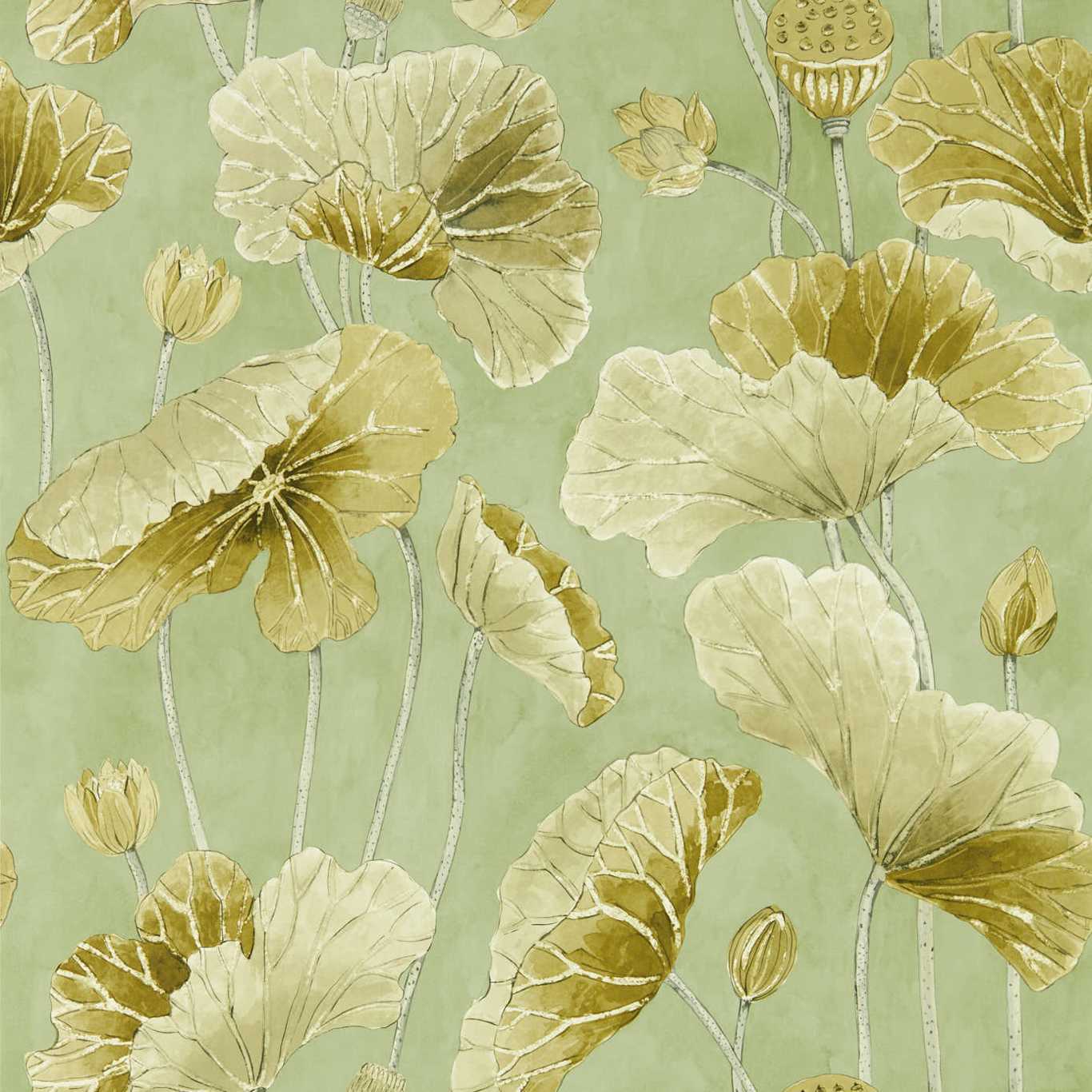 Lotus Leaf Wallpaper - Green