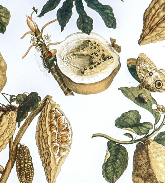 Amazonia Wallpaper - Cream - Gaston y Daniela