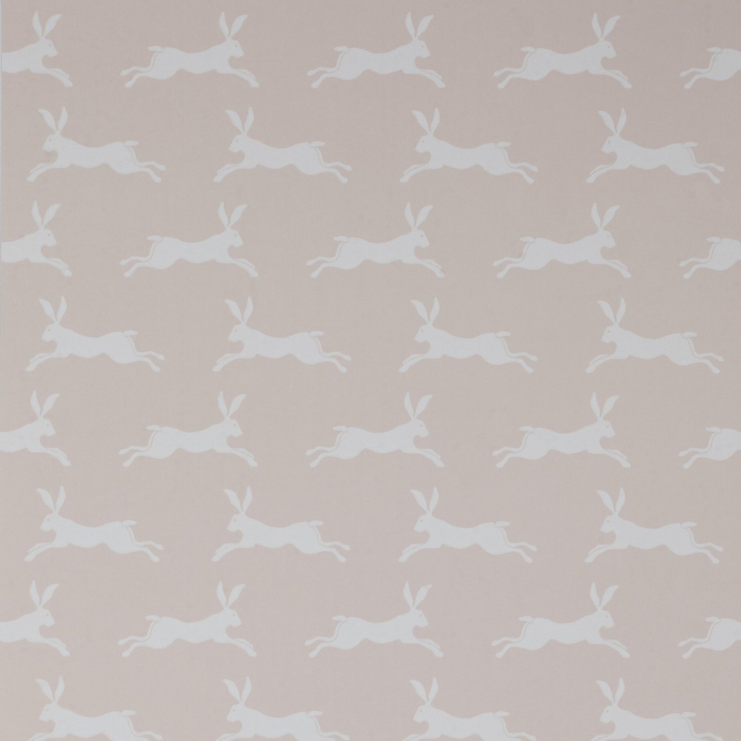 March Hare Wallpaper - Pink