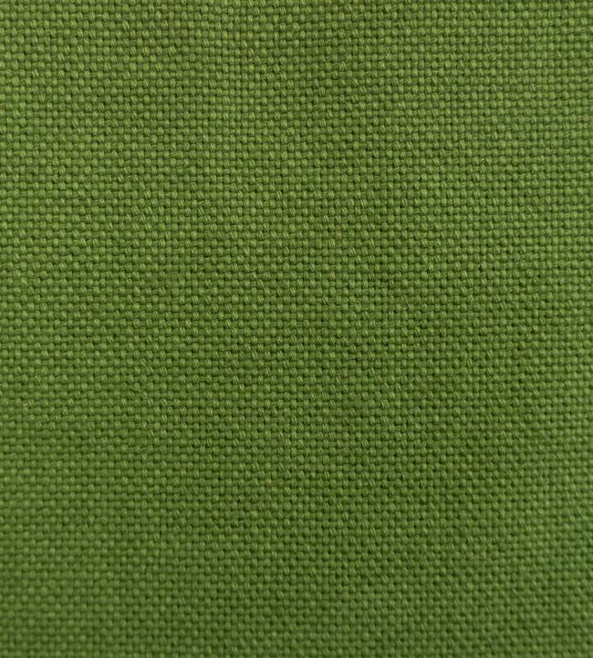 Dobra Fabric - Green - Gaston y Daniela