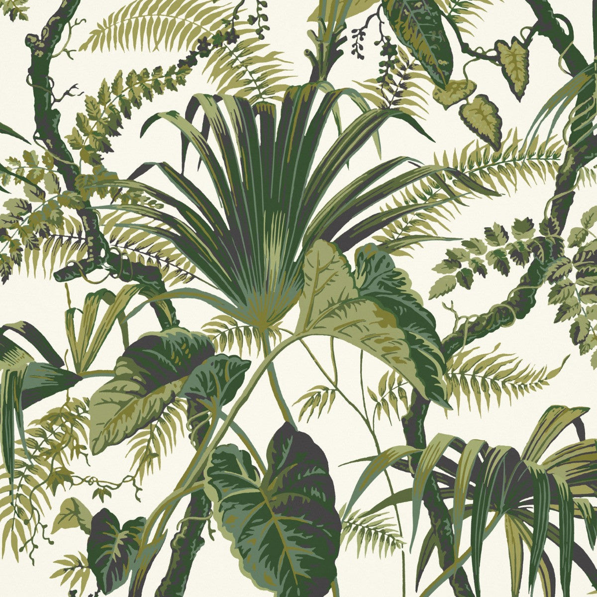 MUSTIQUE Jungle Wallpaper - Warner House
