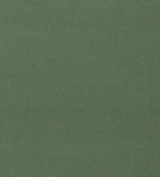 Wardle Velvet Fabric - Green
