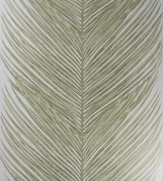 Mey Fern Wallpaper - Green
