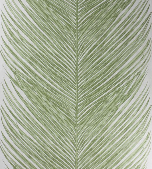 Mey Fern Wallpaper - Green 
