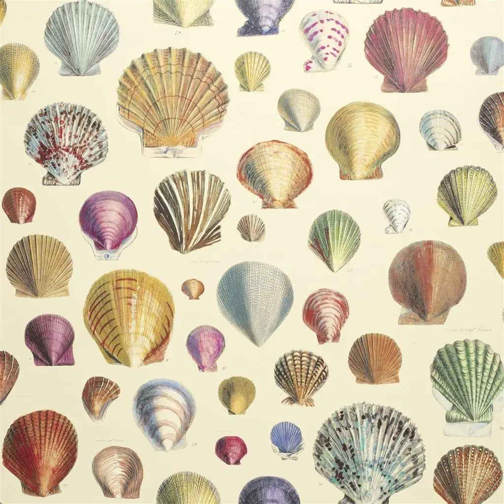Captain Thomas Browns Shells Wallpaper - Sand