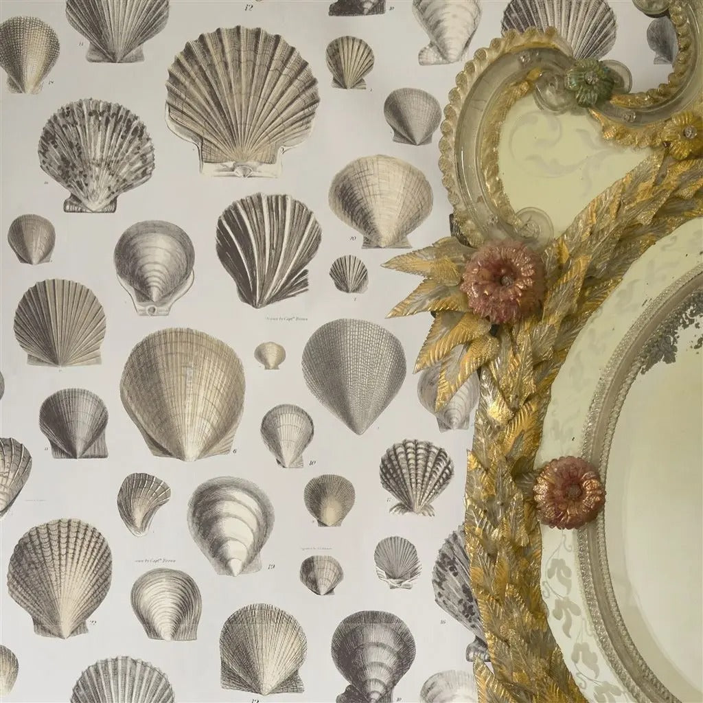 Captain Thomas Browns Shells Room Wallpaper - Cream
