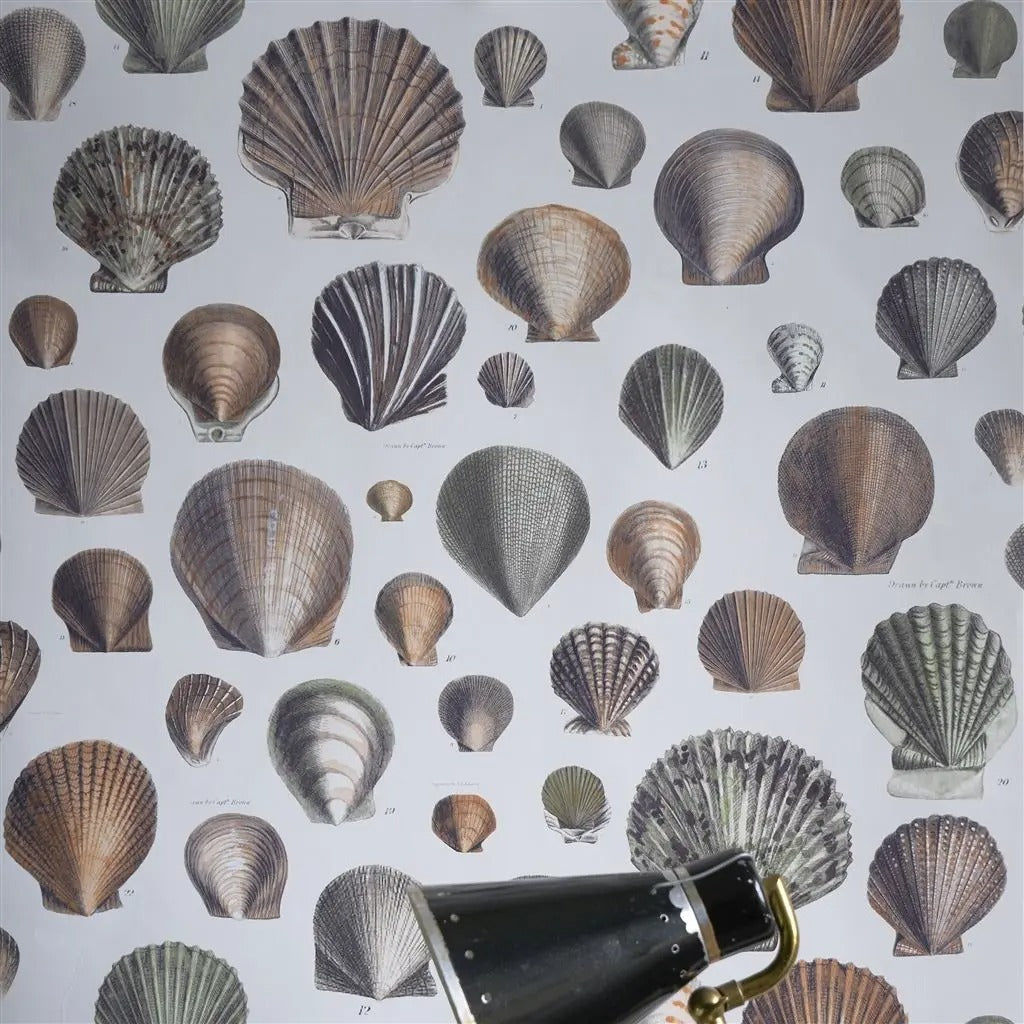 Captain Thomas Browns Shells Room Wallpaper - Gray