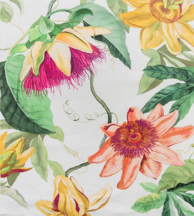 Passion Flower Fabric - Multicolor